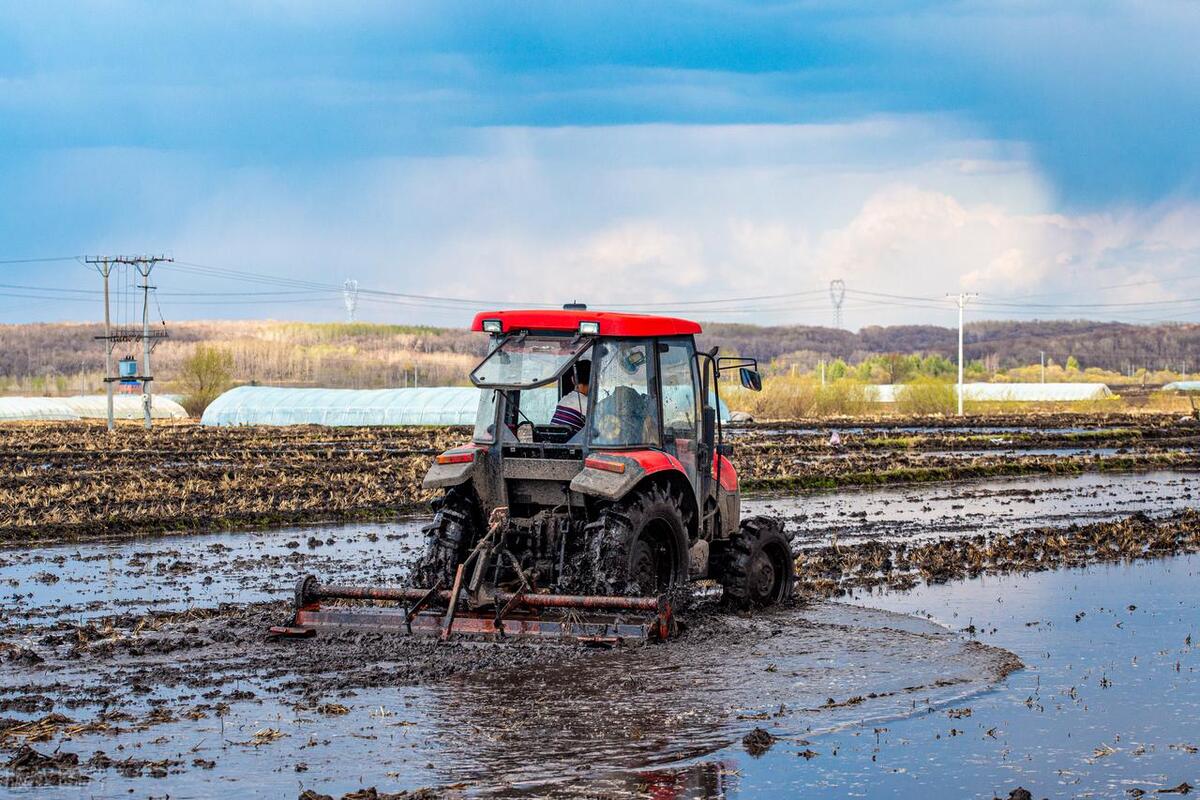 农民的土地补贴多少钱一亩,种地土地补贴政策
