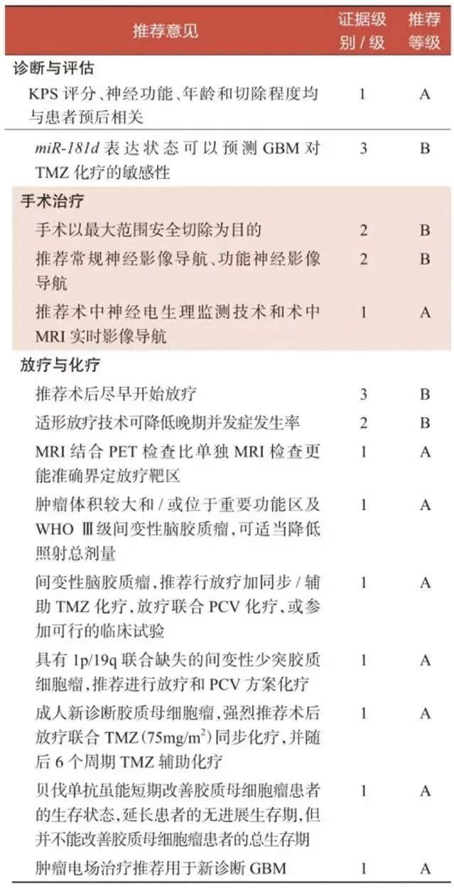 脑部高级别胶质瘤,高级别脑胶质瘤靶向治疗