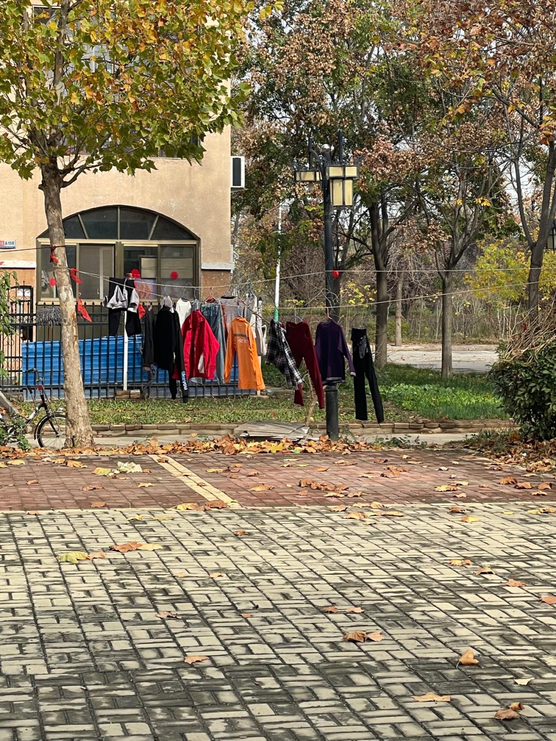 环渤海湾骑行记,环山东骑行日记青岛平度市