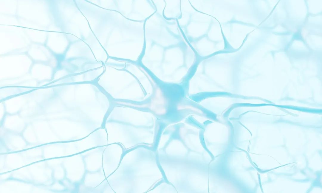 植物人促醒有新方法,植物人促醒的最佳方法