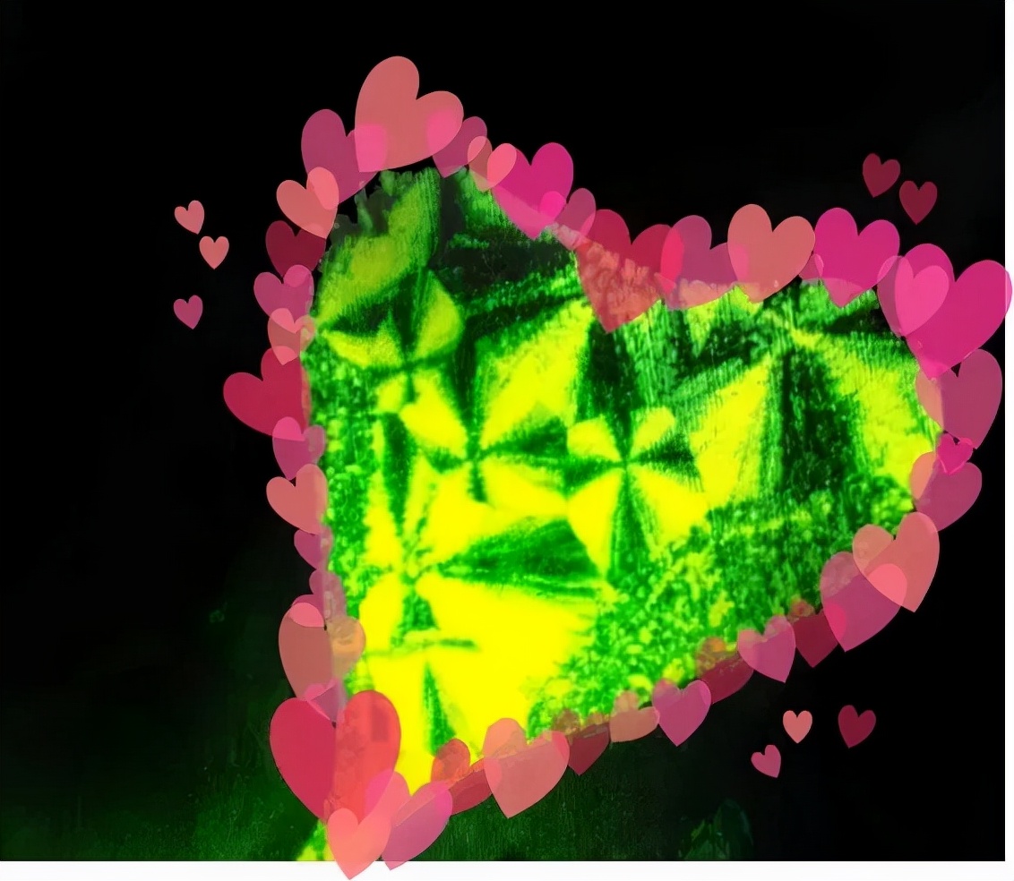 理工科博士科研,理工科博士有多厉害