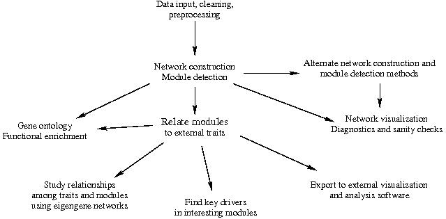 WGCNA分析的作用,什么是wgcna分析