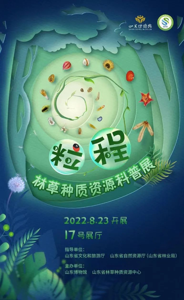 济南买电影票步骤,济南9.9元特惠电影票