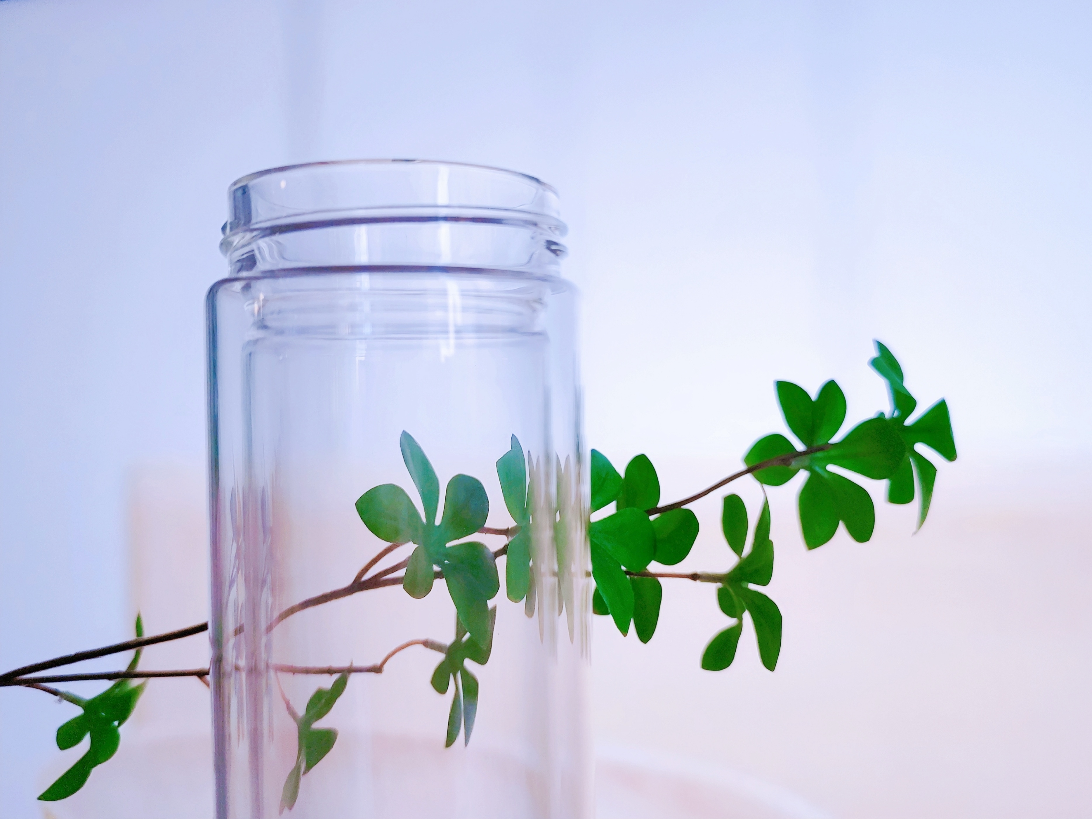 玻璃杯健康水杯,希诺茶水分离玻璃杯最好的