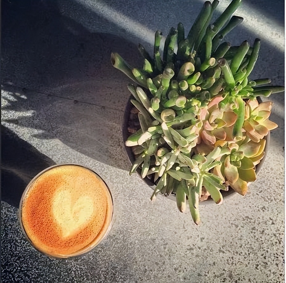 人见人爱的咖啡馆大多相同，比如这12个细节