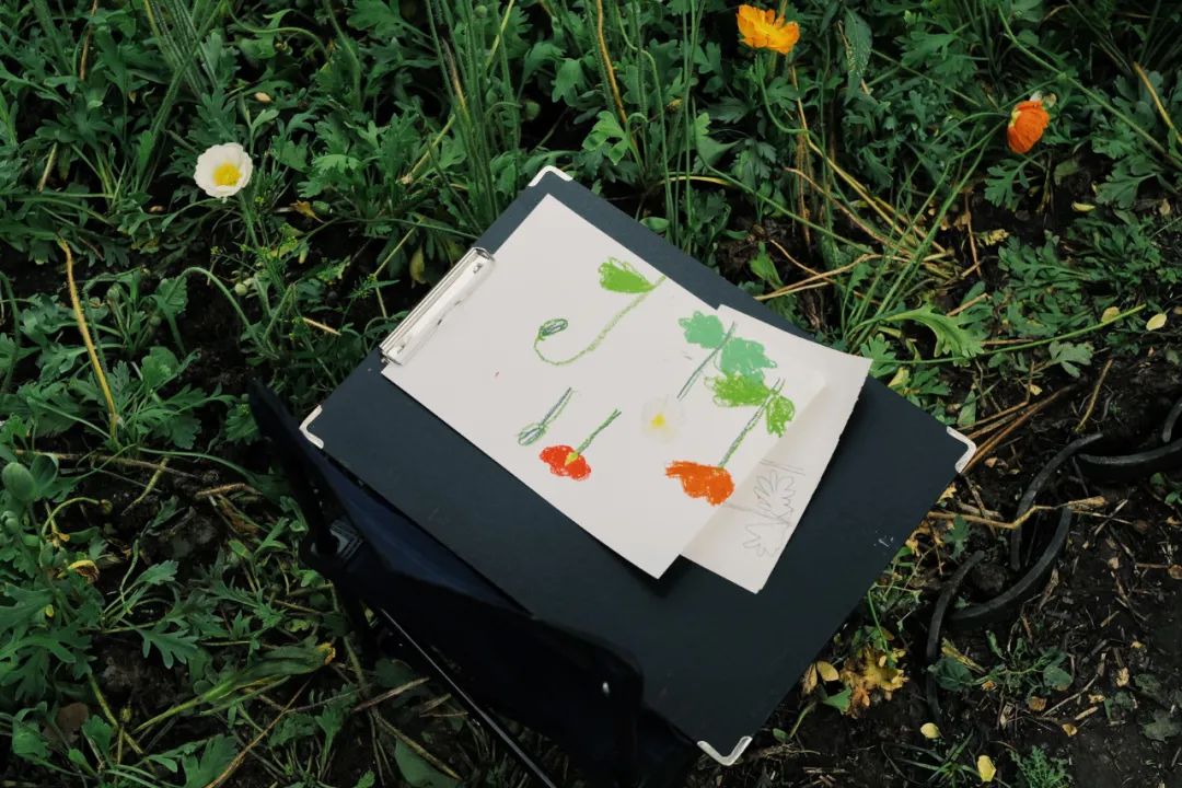 听我的，四月的杭州才是浪漫天花板。