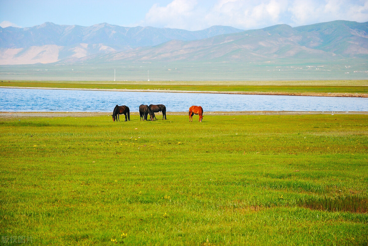 青海湖最新最全旅游攻略,去青海湖旅游哪个季节最好最美呢