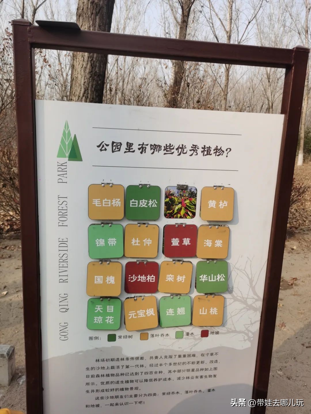 骑行国家森林公园,徒步骑行森林公园