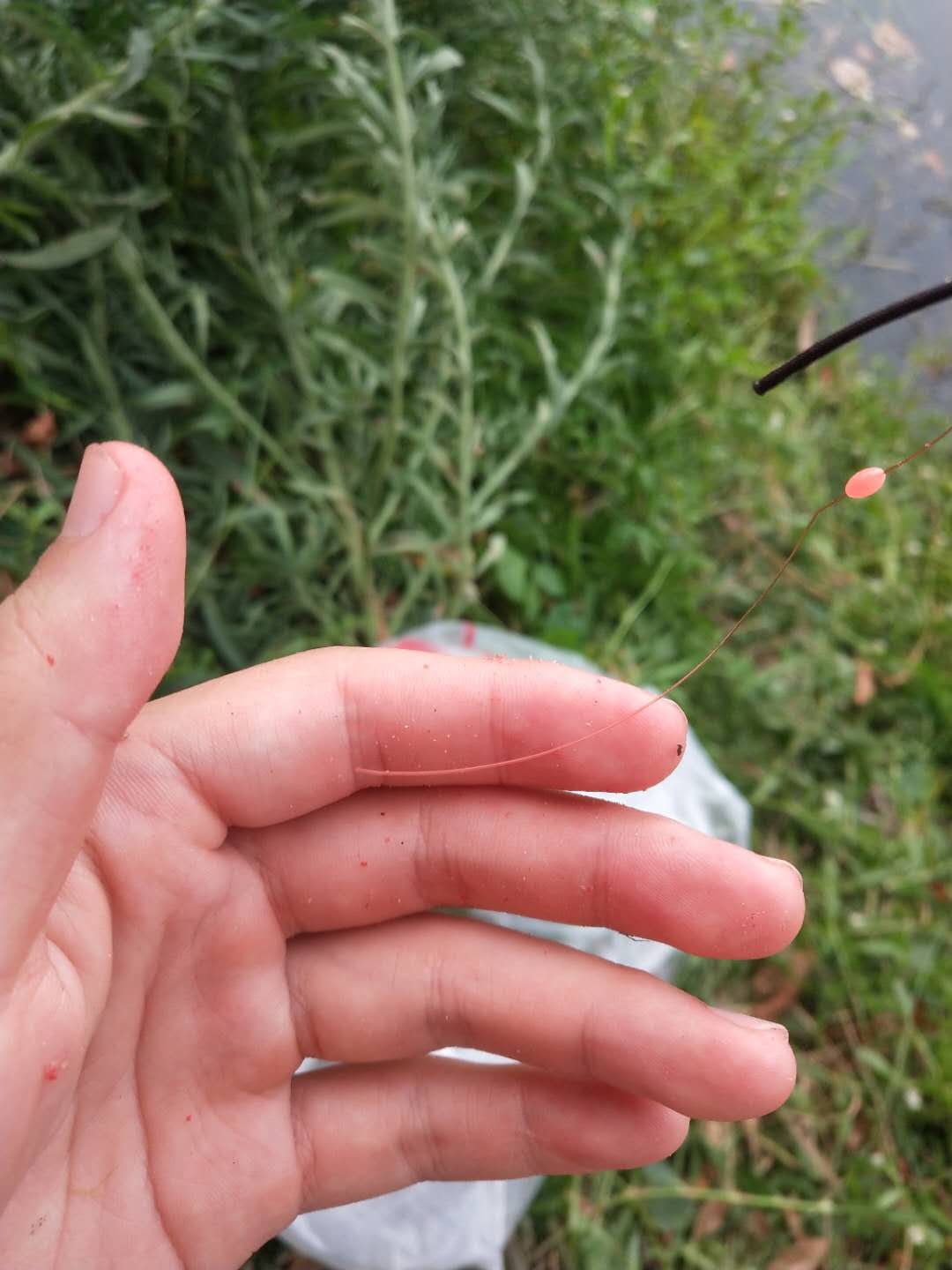 野钓新手入门钓具指南,新手渔具避坑指南