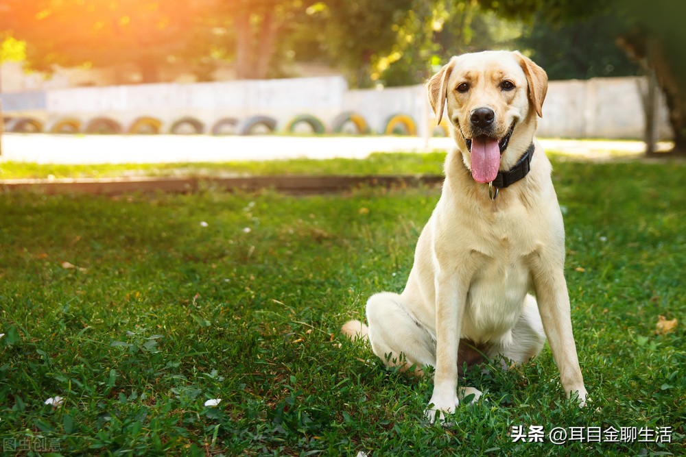 装修、广场舞、直播这些人为噪音制造者，请选择做个良善之人