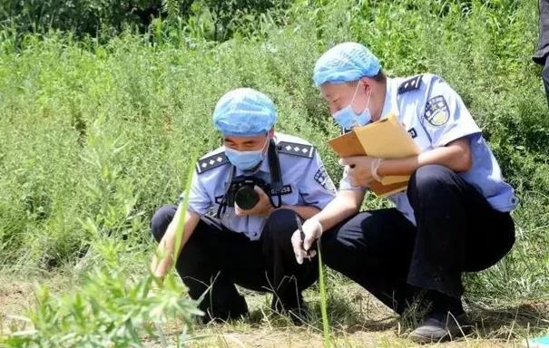 夫妻本是前世缘,夫妻本是前世缘没有缘成不了夫妻