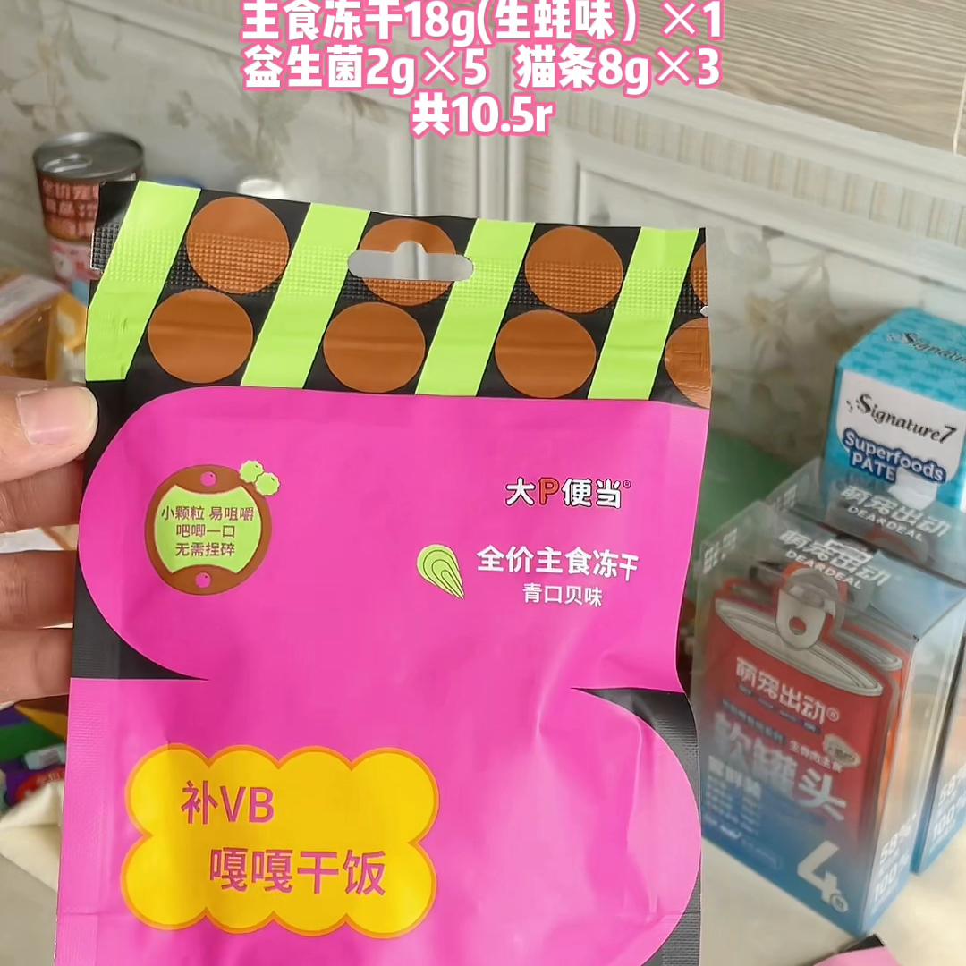 养猫要买的全部东西,养猫人应该买什么床单