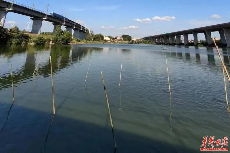 以点带面共帮共扶岳阳经开区打造“蓝结家园”创业基地