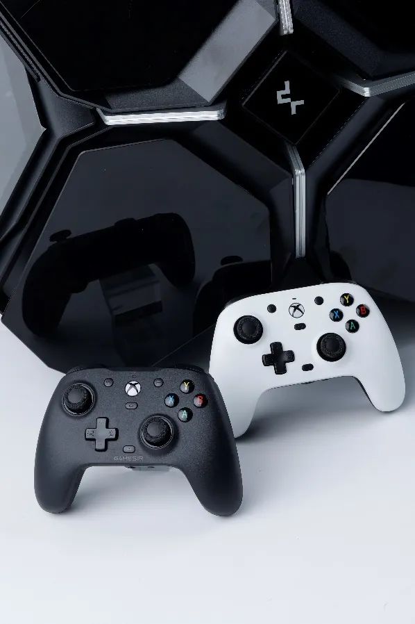 盖世小鸡g7sexbox360,盖世小鸡xbox版