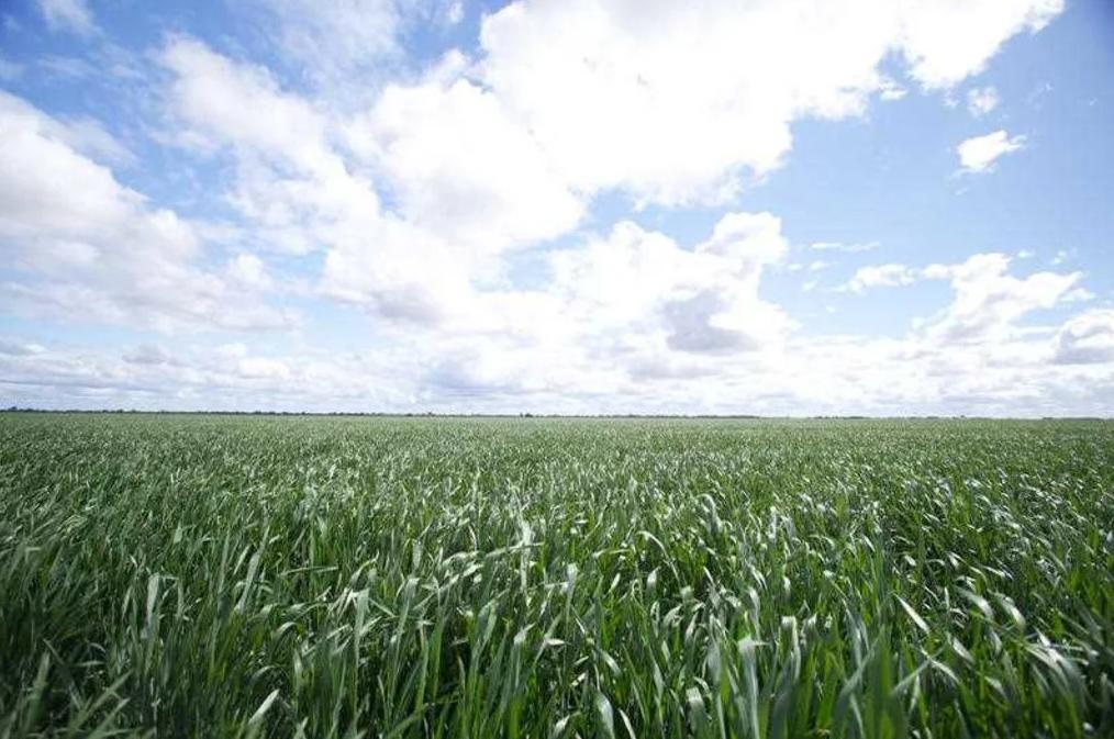 澳洲农产品畅销国际市场本年出口创纪录达720亿澳元