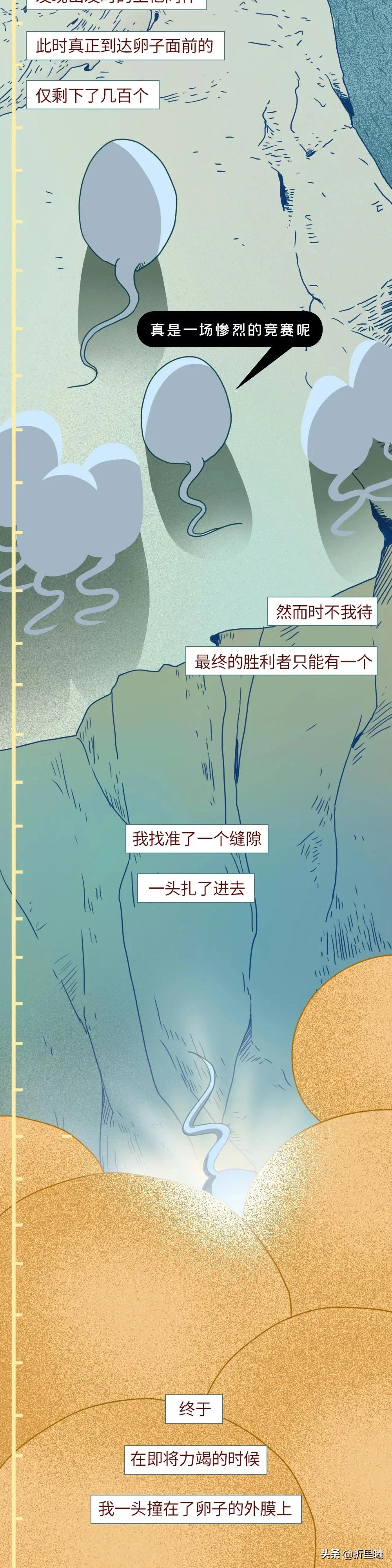 精子进入女生体内的24小时全过程曝光！