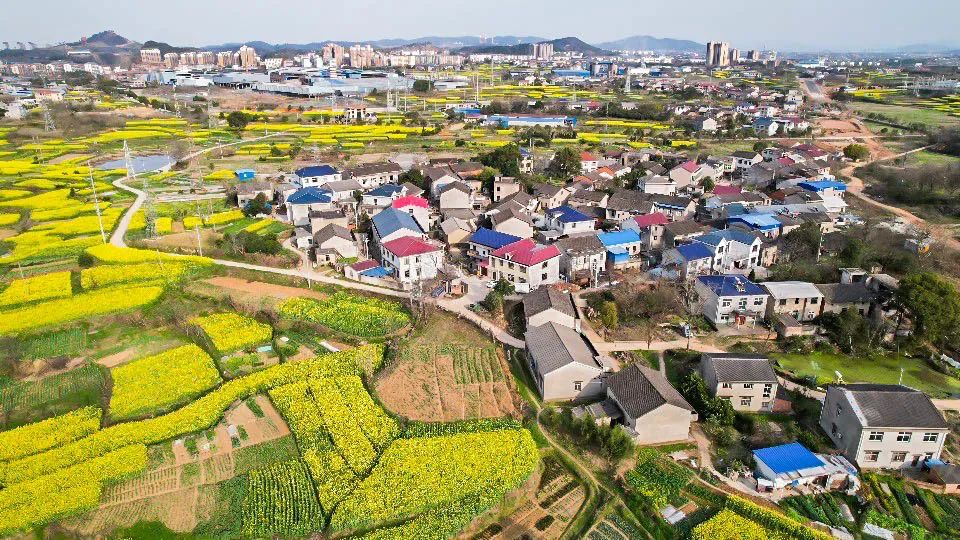 鄂州泽林镇新闻,鄂州泽林镇最新规划