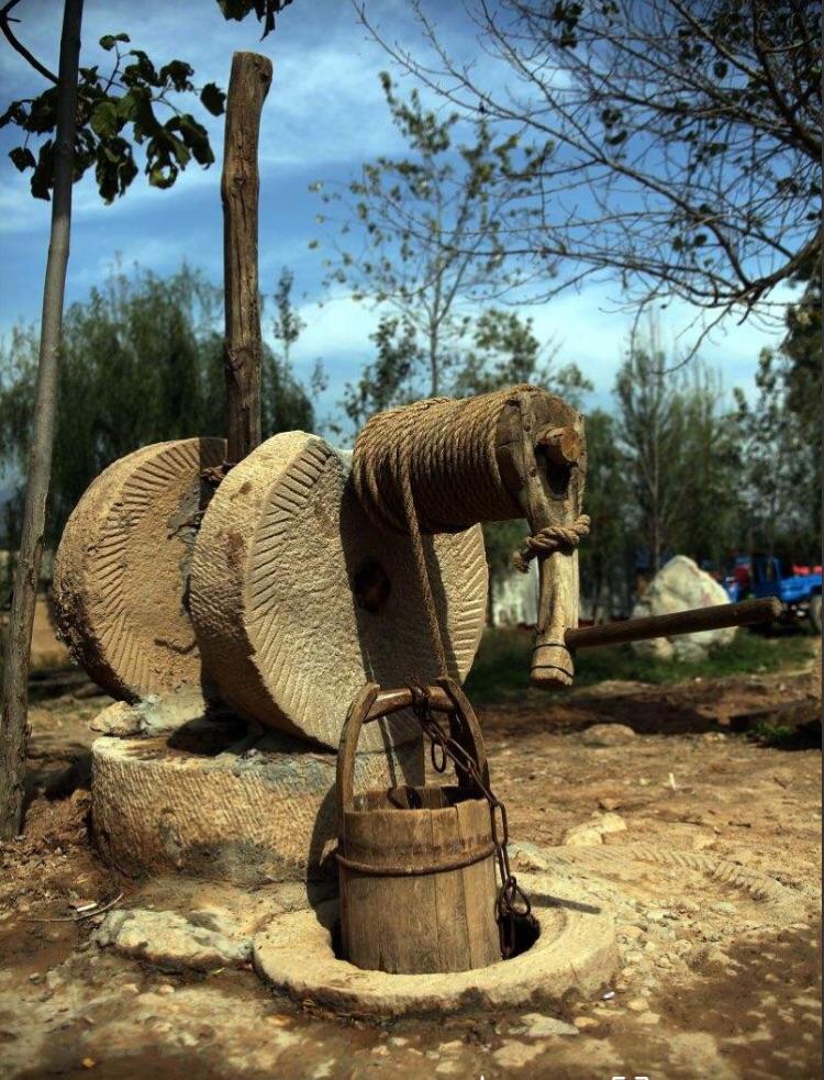 说文解字第661课,说文解字第142课