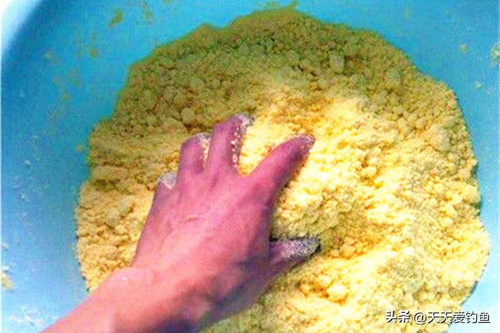 水库野钓鲢鳙小药,野钓鲢鳙小药