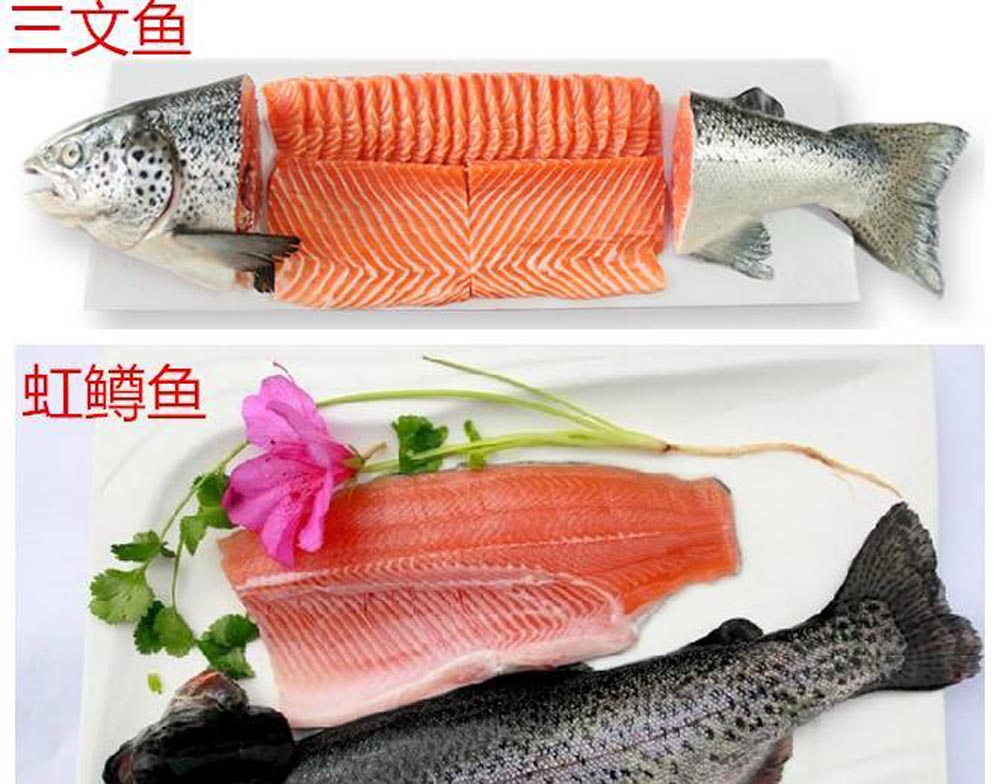 网购三文鱼靠谱吗,网购三文鱼整条靠谱吗