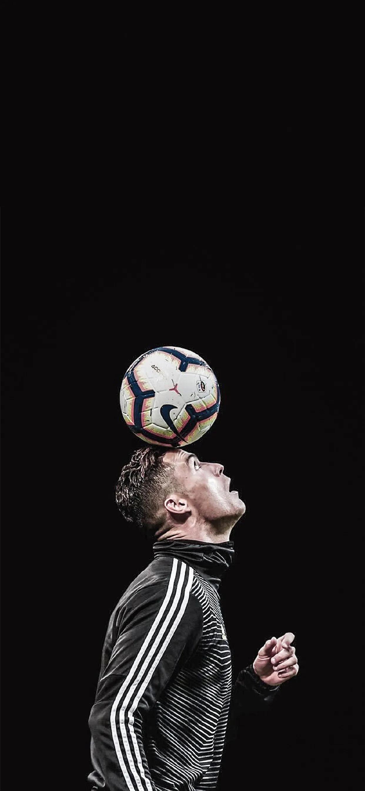 足球狗头壁纸大全,兔耳壁纸高清