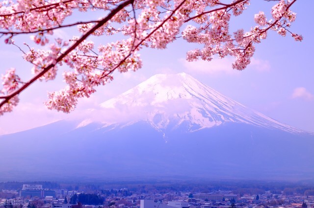 雪风号驱逐舰到底坑死了多少队友,日本联合舰队吉野号