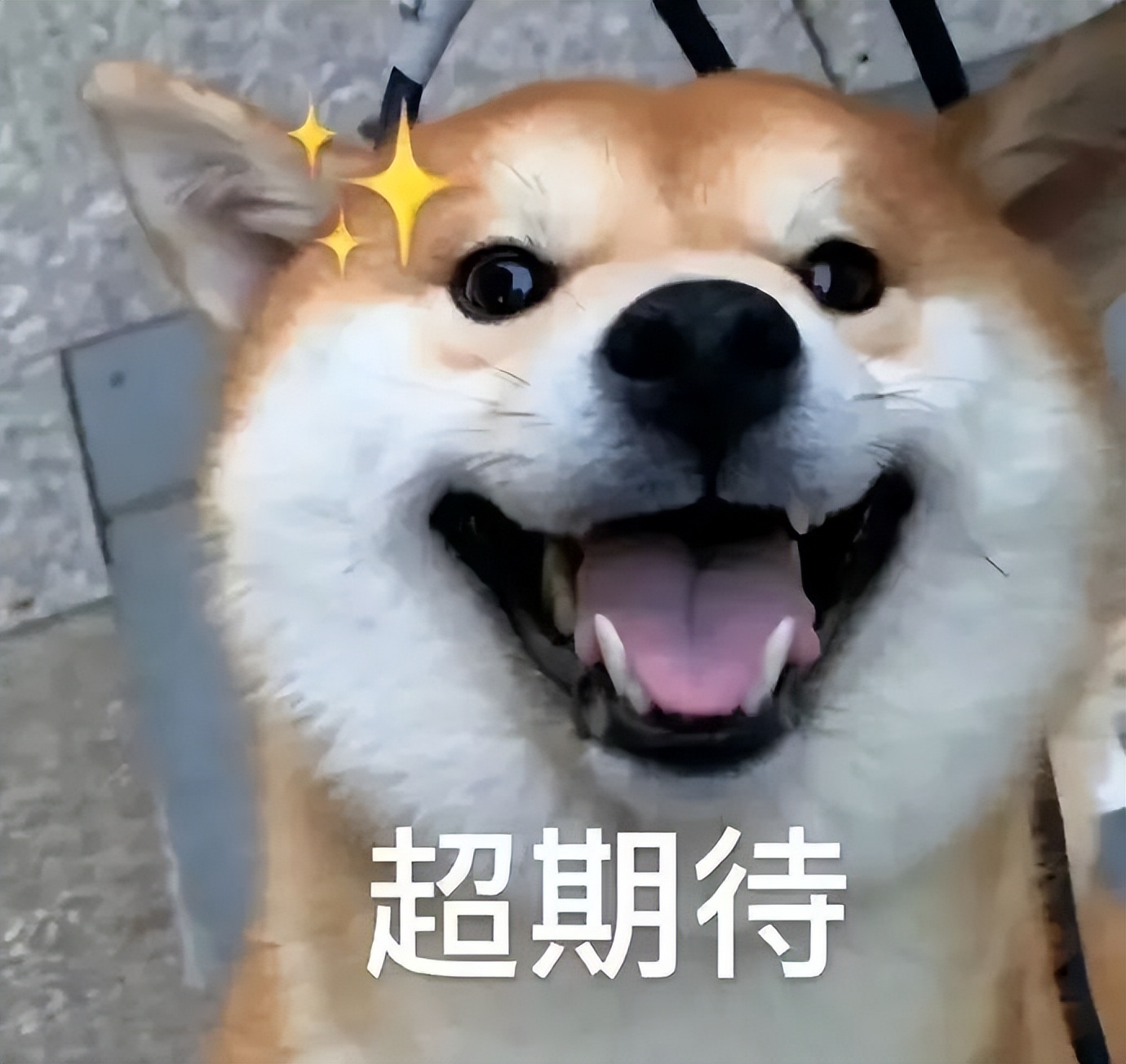 终于！世界杯八强强势出炉！作为留学生竟有这等好事...