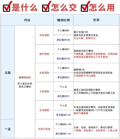 五险一金科普动画,缴纳五险一金科普