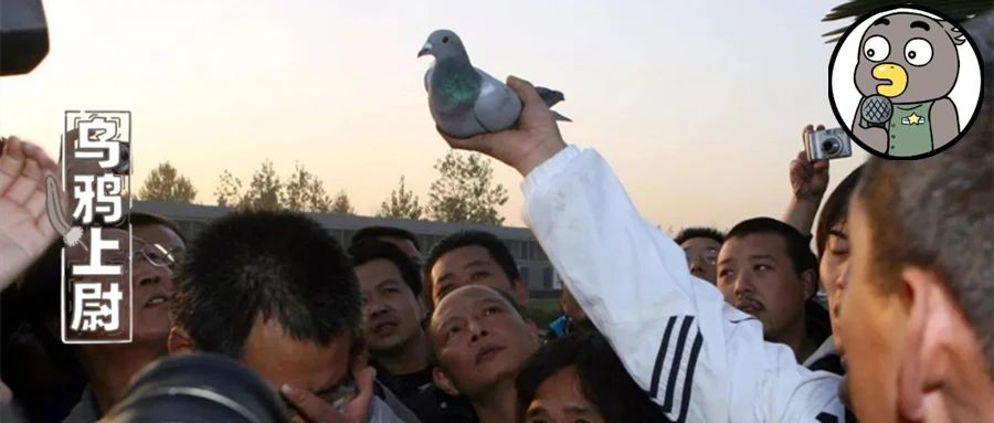 跟赛鸽比赛相比，世界杯*球赌**只能算小场面？