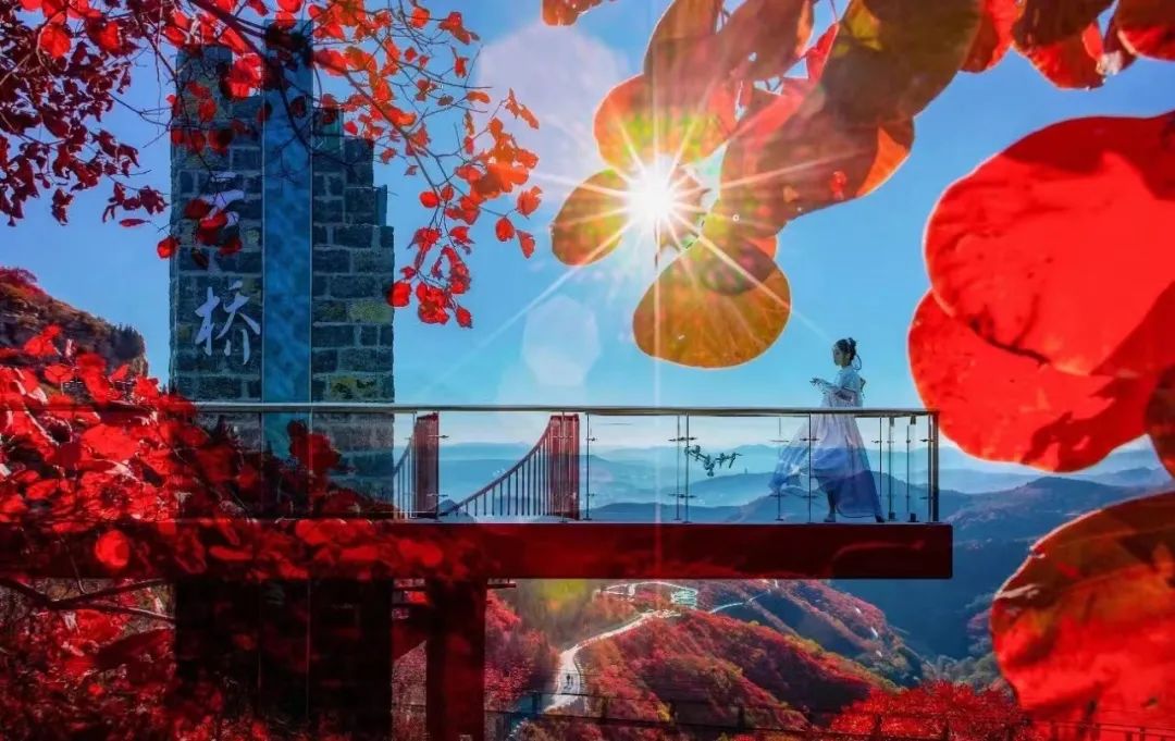 贵州省5起乡村振兴典型案例通报,乡村振兴中可以做哪些景观设计