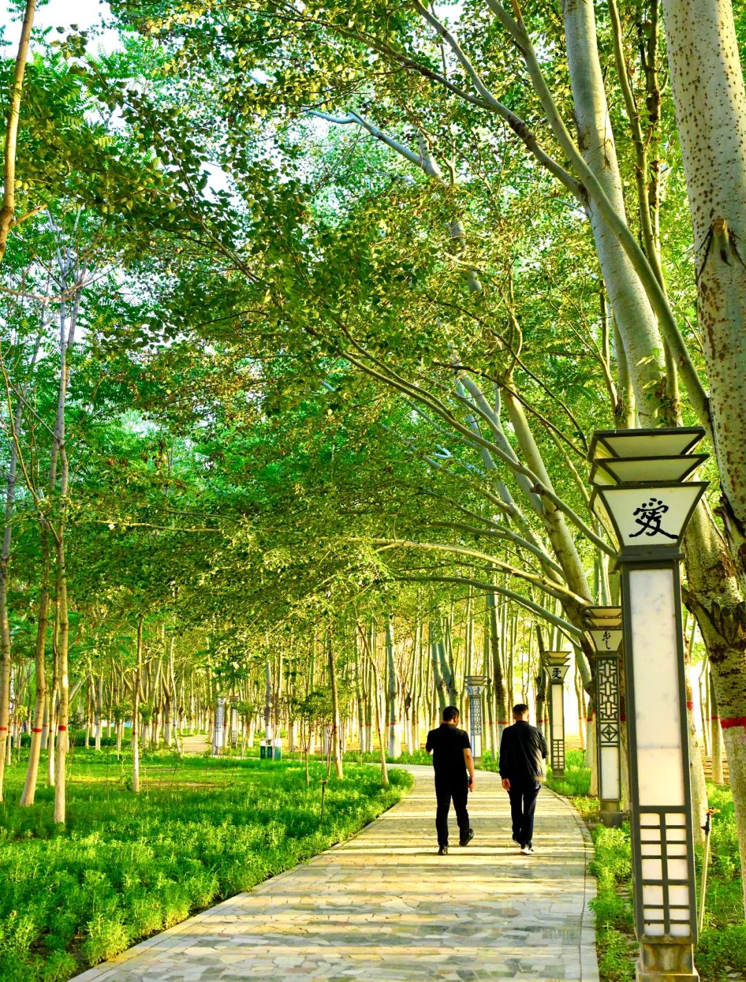 乌海繁华城市中心位置,乌海这个城市有前途吗