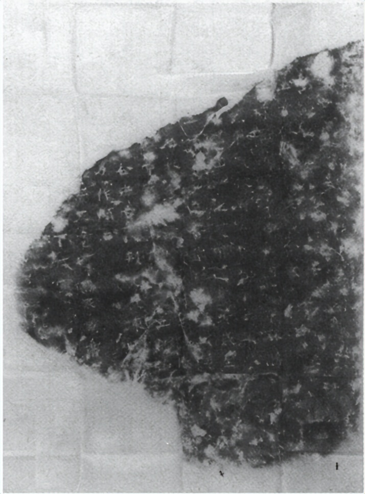 御射碑,什么是御碑