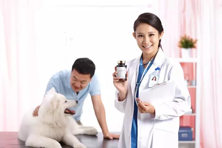 小奶狗被大狗咬伤怎么办,小狗被大狗咬伤了怎么处理