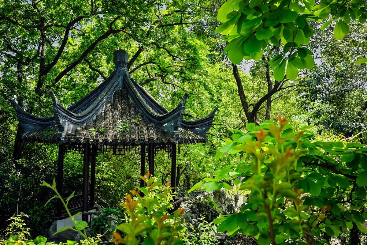 南京旅游攻略景点必去免门票,南京免费游玩景点推荐攻略