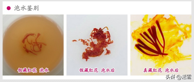 藏红花真假辨别视频,藏红花真假最科学的鉴别方法