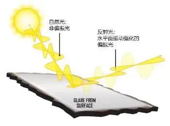 钓鱼用的眼镜是智商税吗,钓鱼眼镜真的能看透东西吗