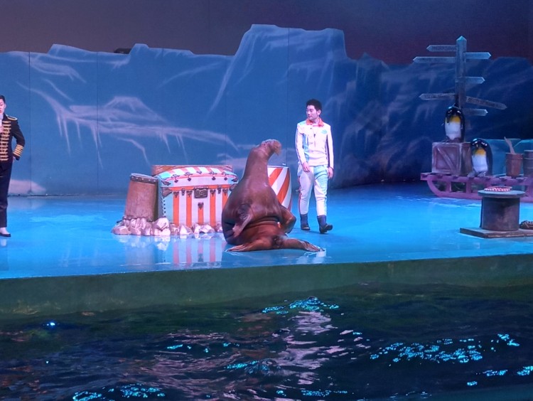 大连旅游自由行攻略四日游路线,大连旅游详细攻略一日游最佳路线