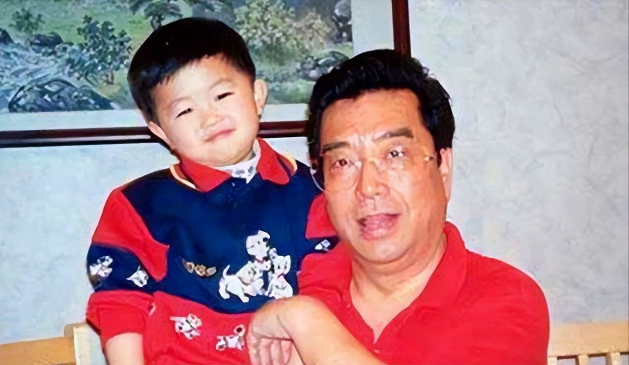 现在李双江和梦鸽现状,李双江和梦鸽现状怎样