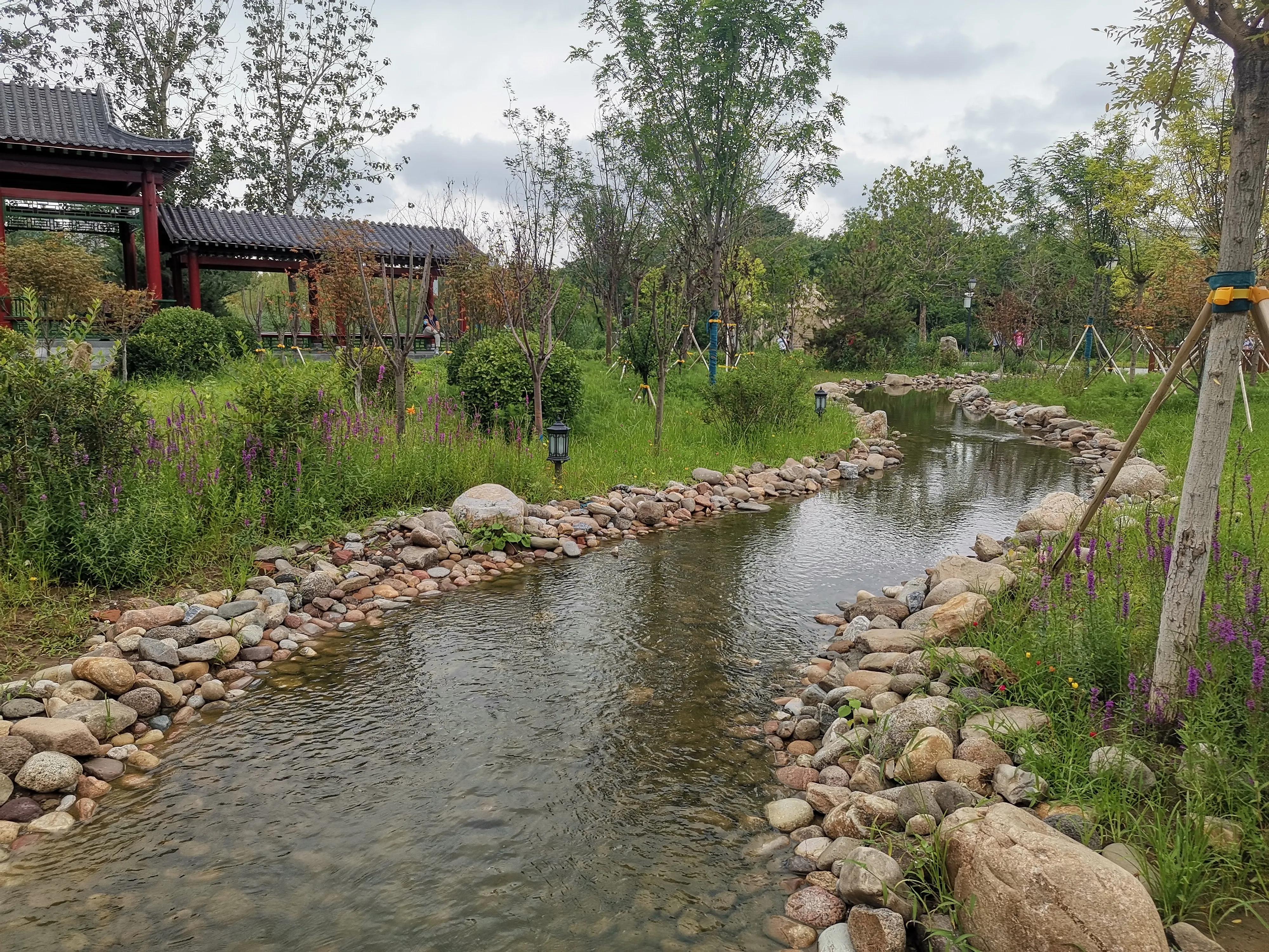 大雨过后的天津,大雨后的公园视频