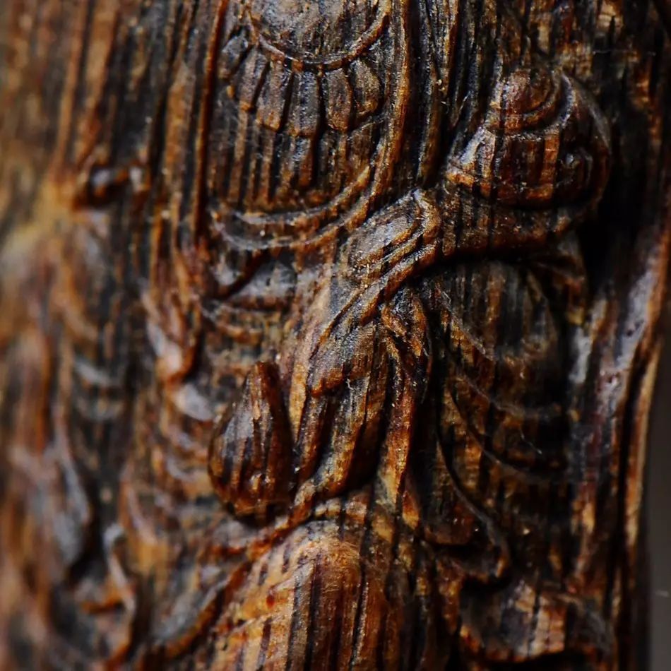 如何种植奇楠沉香不违法,种植奇楠沉香要去壳吗