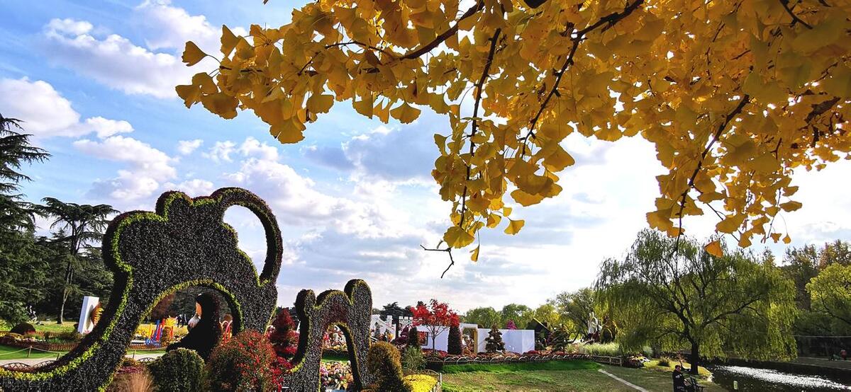 大自然的怀抱最美妙,大自然的怀抱的视频