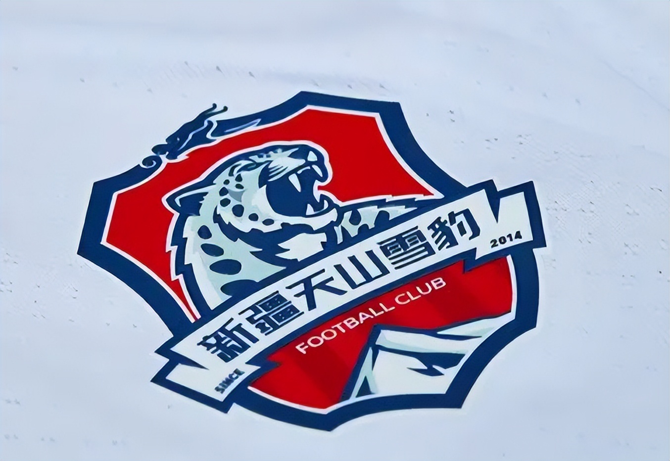 新疆天山雪豹拟退赛公告,天山雪豹现在情况