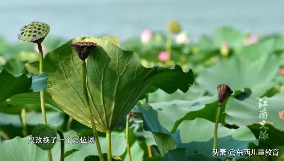 一口气看完中国古诗词动漫,一口气看完系列动漫诗词歌赋