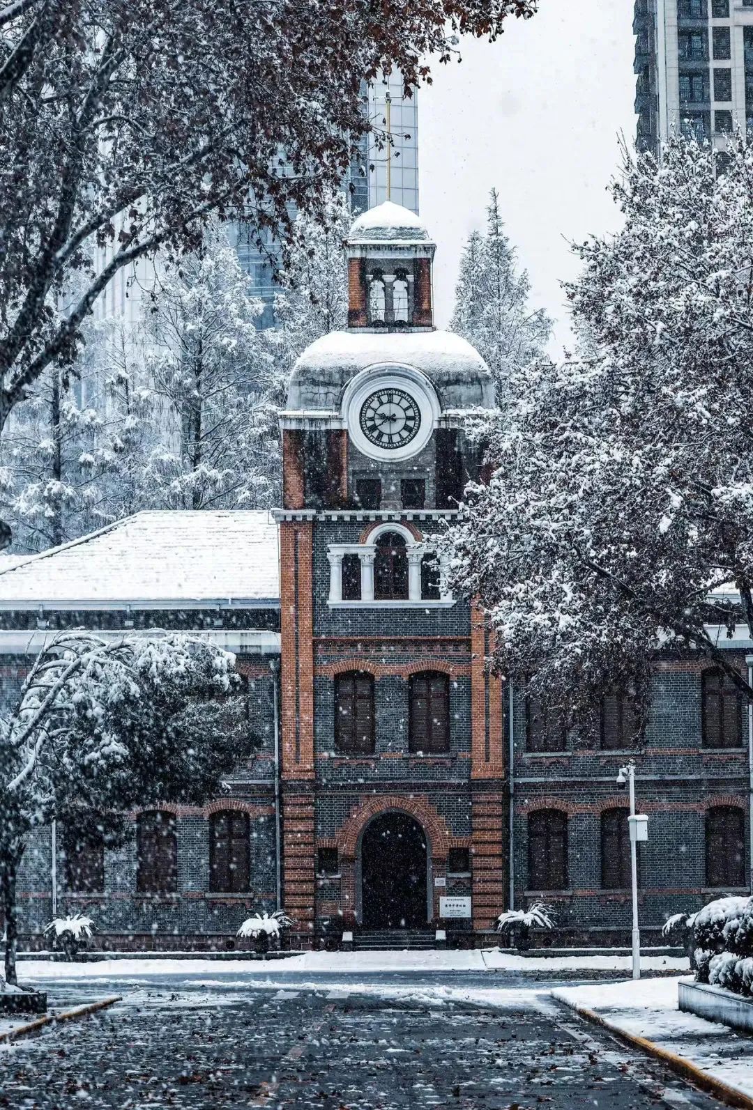 姝︽眽鐧惧勾鍚嶆牎,姝︽眽鐧惧勾楂樹腑