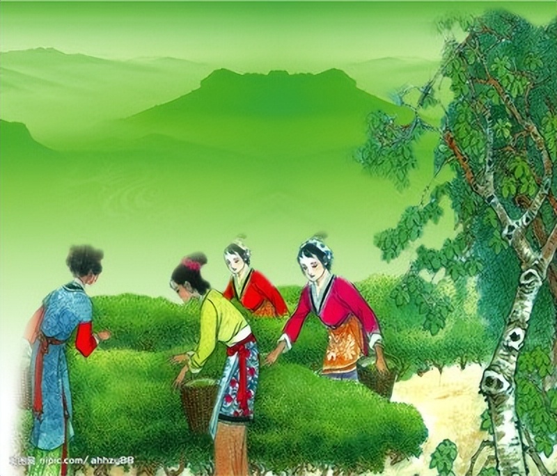 乾隆御用奶茶,乾隆喝什么奶茶