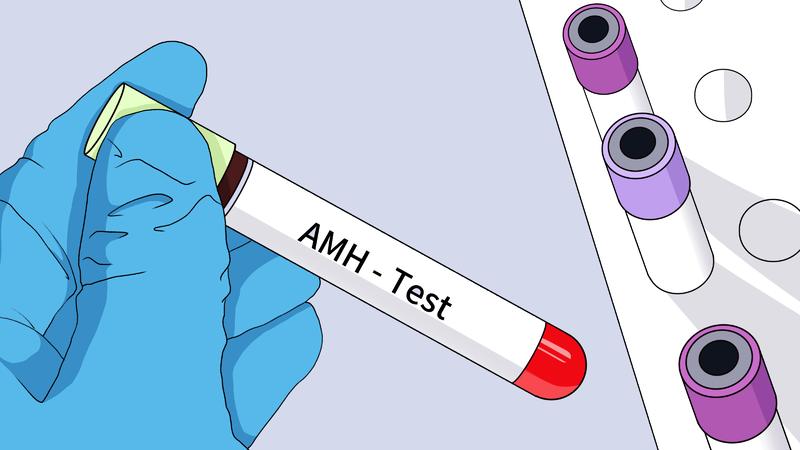抗缪勒管激素amh是什么,男性抗缪勒管激素amh检测低怎么办