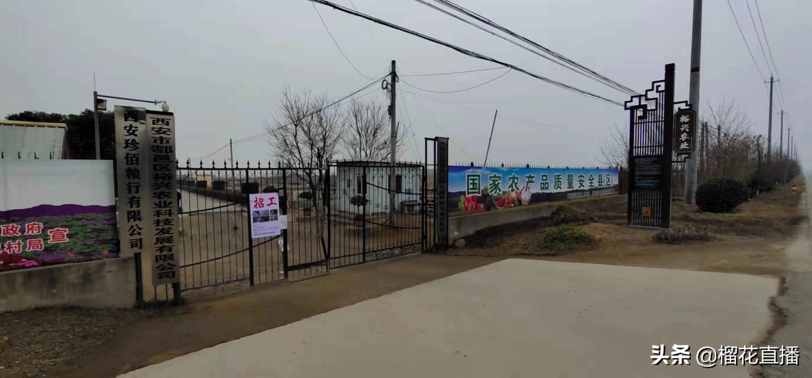 珍佰粮鄠邑,珍佰粮油