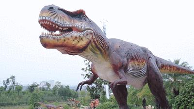 香草伊甸园景区最佳花开期,转发此文