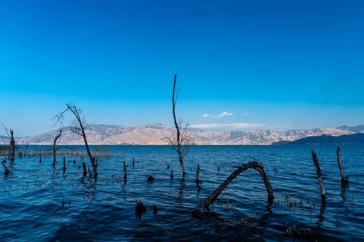 淡季大理堪称人间理想,大理的旺季真实体验