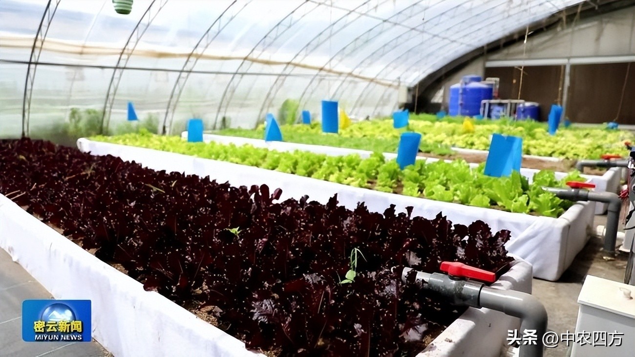 乡村振兴策划规划方案,乡村振兴策划规划设计方案